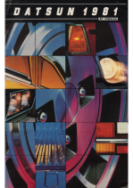 1981 Datsun Full Line